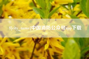鹤岗中国消防公众号app下载