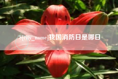鹤岗我国消防日是哪日