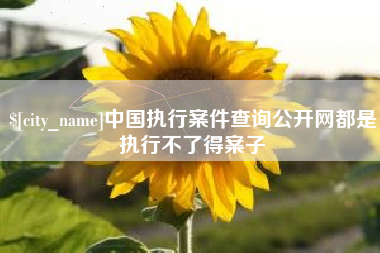 鹤岗中国执行案件查询公开网都是执行不了得案子