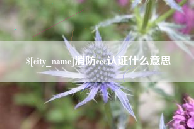 鹤岗消防ccc认证什么意思