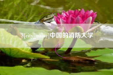 鹤岗中国的消防大学