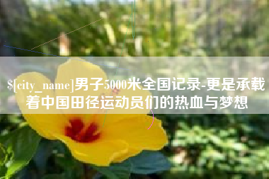 鹤岗男子5000米全国记录-更是承载着中国田径运动员们的热血与梦想