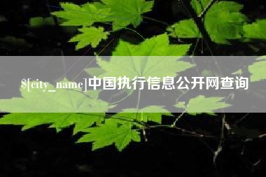 鹤岗中国执行信息公开网查询