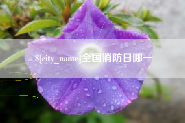 鹤岗全国消防日哪一