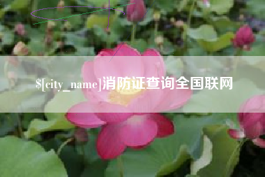 鹤岗消防证查询全国联网