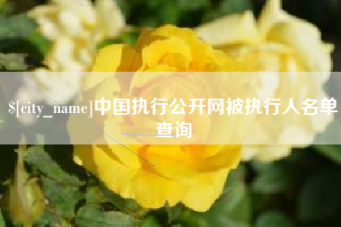 鹤岗中国执行公开网被执行人名单查询