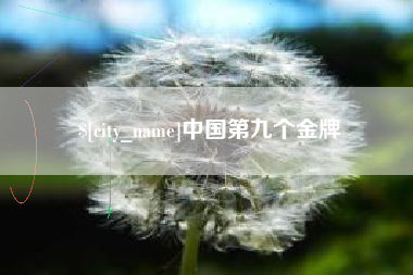 鹤岗中国第九个金牌