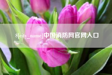 鹤岗中国消防网官网入口