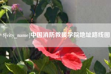 鹤岗中国消防救援学院地址路线图