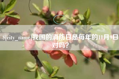 鹤岗我国的消防日是每年的11月9日对吗？