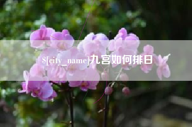 鹤岗九宫如何排日