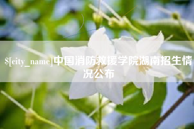 鹤岗中国消防救援学院湖南招生情况公布