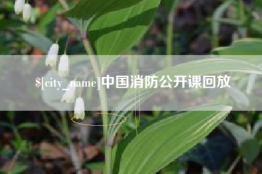 鹤岗中国消防公开课回放