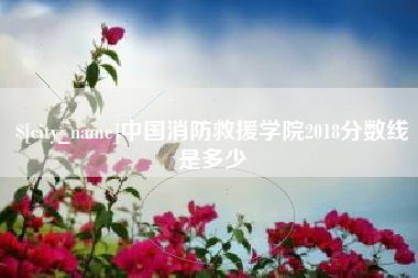鹤岗中国消防救援学院2018分数线是多少
