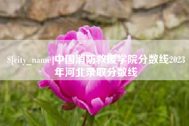 鹤岗中国消防救援学院分数线2023年河北录取分数线