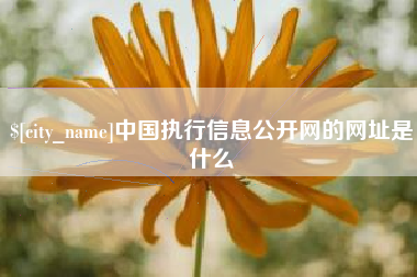 鹤岗中国执行信息公开网的网址是什么