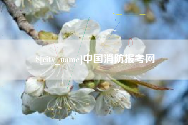 鹤岗中国消防报考网