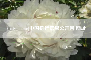 鹤岗中国执行信息公开网 网址