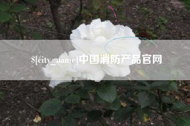 鹤岗中国消防产品官网