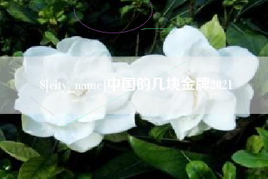 鹤岗中国的几块金牌2021