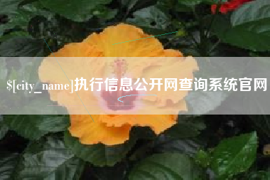 鹤岗执行信息公开网查询系统官网