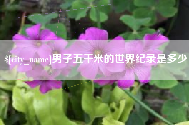 鹤岗男子五千米的世界纪录是多少