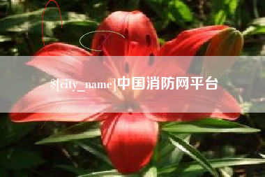 鹤岗中国消防网平台