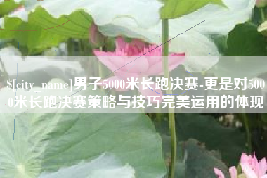 鹤岗男子5000米长跑决赛-更是对5000米长跑决赛策略与技巧完美运用的体现
