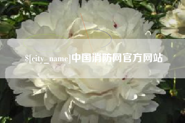 鹤岗中国消防网官方网站