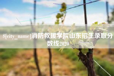 鹤岗消防救援学院山东招生录取分数线2020