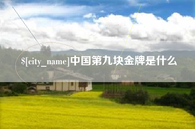 鹤岗中国第九块金牌是什么