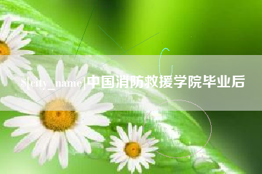 鹤岗中国消防救援学院毕业后