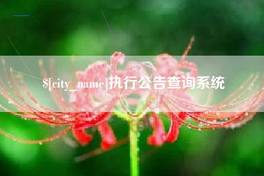 鹤岗执行公告查询系统