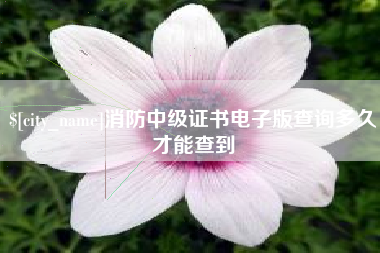 鹤岗消防中级证书电子版查询多久才能查到