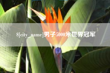 鹤岗男子5000米世界冠军