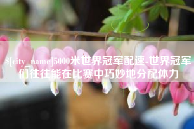 鹤岗5000米世界冠军配速-世界冠军们往往能在比赛中巧妙地分配体力