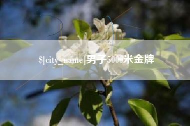 鹤岗男子5000米金牌