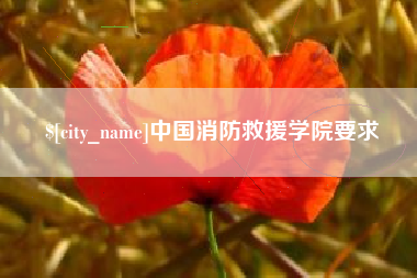 鹤岗中国消防救援学院要求