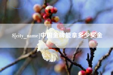 鹤岗中国金牌能拿多少奖金