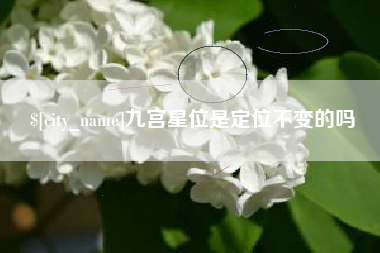 鹤岗九宫星位是定位不变的吗