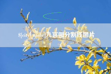 鹤岗九宫图分割线图片