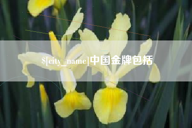 鹤岗中国金牌包括