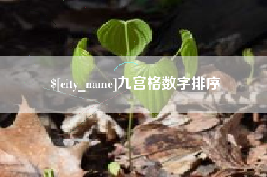 鹤岗九宫格数字排序