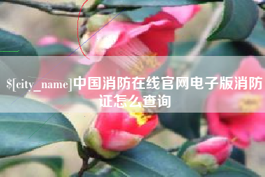 鹤岗中国消防在线官网电子版消防证怎么查询