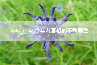 鹤岗今年九宫格的不利颜色