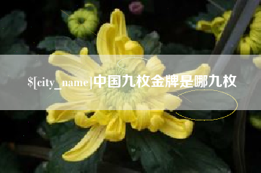 鹤岗中国九枚金牌是哪九枚