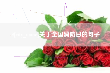 鹤岗关于全国消防日的句子