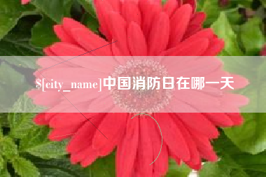 鹤岗中国消防日在哪一天