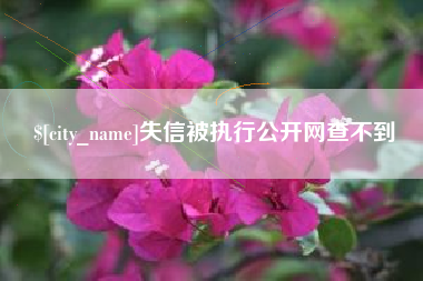 鹤岗失信被执行公开网查不到
