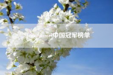 鹤岗中国冠军榜单
